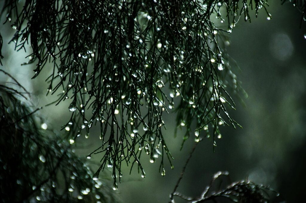Significado de sonhar com chuva